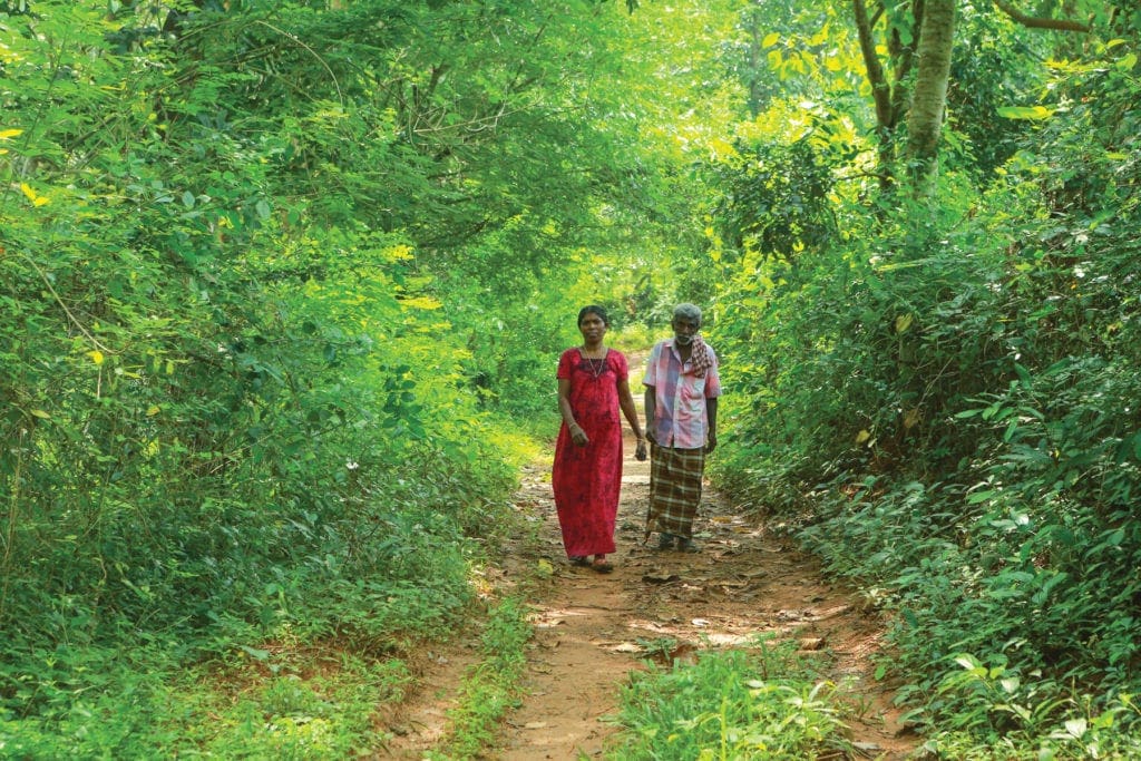 Man and woman walking toward the viewer on a dirt path surrounded by foliage.
